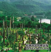 深圳仙湖植物园